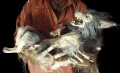 The Horror Dome "Baby Werewolf Puppet" HD Studios Halloween Prop