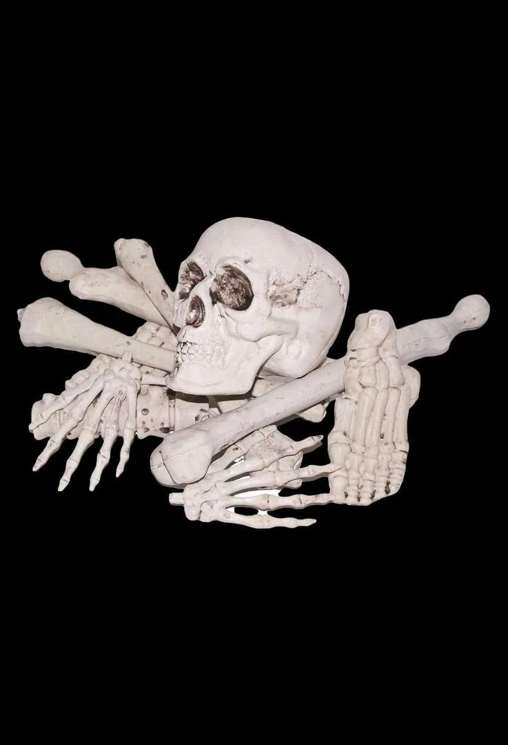 Morris "Bag Of Bones" Halloween Prop 3 Morris "Bag Of Bones" Halloween Prop