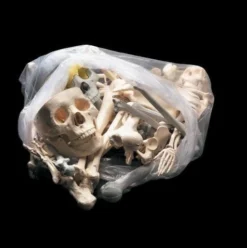 Skeletons And More Graveyard Props "Bag Of Bones - Large" Halloween Prop