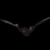 Morris "Bat With Light-up Eyes" Hanging Halloween Prop - 54 Inches Props