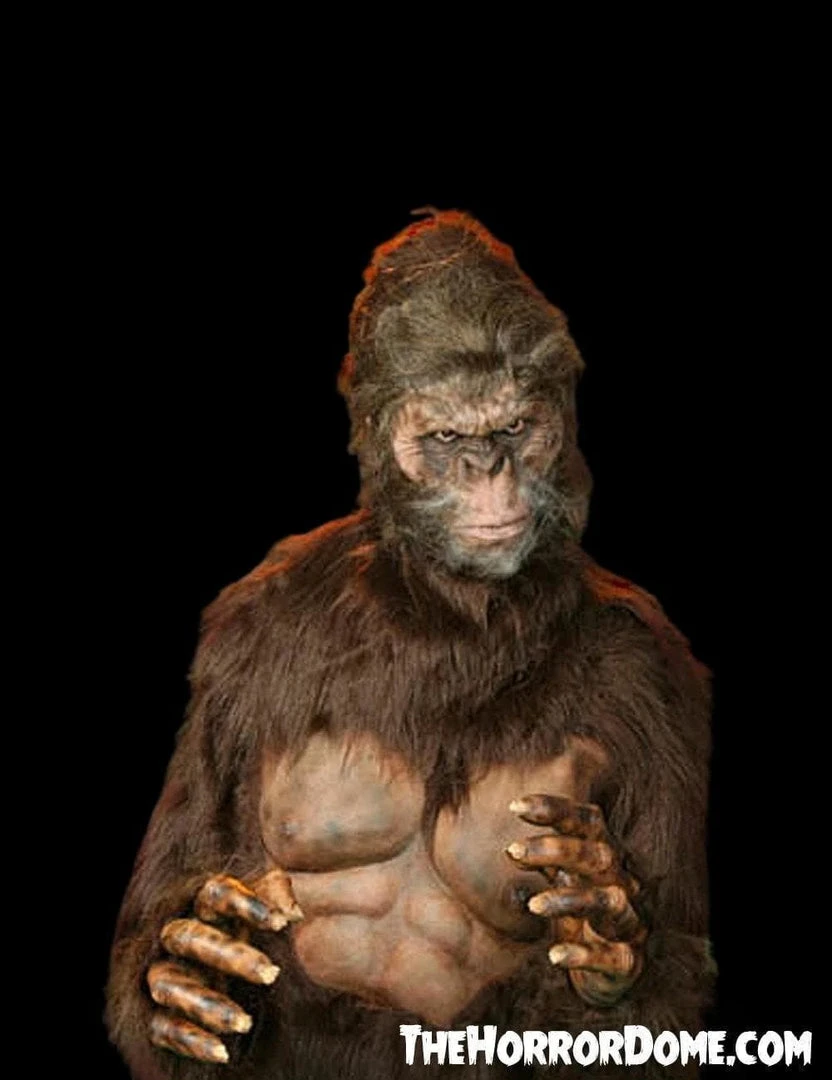 The Horror Dome "Bigfoot" HD Studios Pro Costume 4 The Horror Dome "Bigfoot" HD Studios Pro Costume