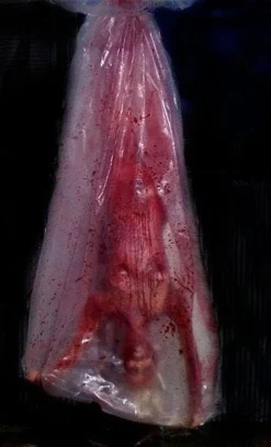 The Horror Dome Hanging Decorations "Bloody Babe Body Bag Shaker" Halloween Animatronic