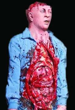 Distortions "Bowel Movement" Electric Animated Bloody Halloween Prop Props