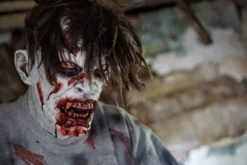 The Horror Dome Masks