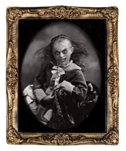 Morris Decorations "Changing Portrait - Pretty" Hanging Halloween Decoration