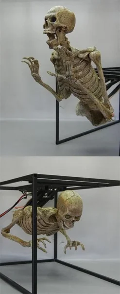 DC Props "Crypt Dweller" Skeleton Halloween Animatronic Animatronics