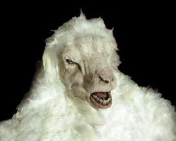 The Horror Dome Costumes