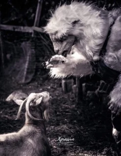 The Horror Dome Costumes