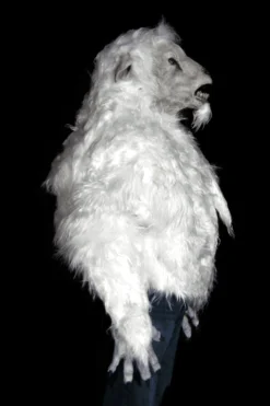 The Horror Dome Costumes