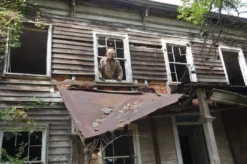 The Horror Dome Masks