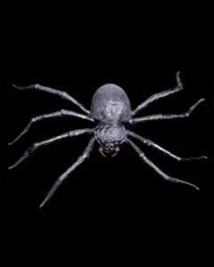 Distortions "Giant Spider" Monster Halloween Prop Props