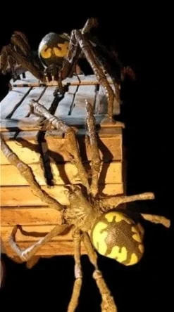 Nevermore Productions "Giant Spider" Professional Halloween Prop