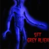 The Horror Dome "Grey Alien" Movie-Quality Professional Prop Props