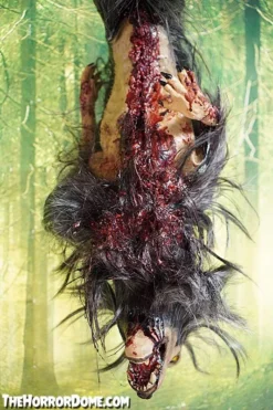 The Horror Dome Gutted Baby Werewolf Hanging Prop Props