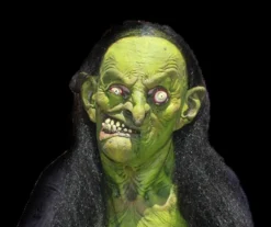 The Horror Dome Costumes "Helga The Witch" HD Studios Pro Costume