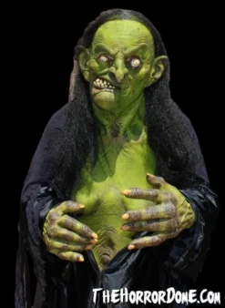 The Horror Dome Costumes "Helga The Witch" HD Studios Pro Costume