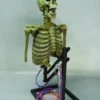 DC Props "Mini Popper" Skeleton Halloween Animatronic Animatronics