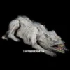 Distortions Props "Old Slim The Zombie Dog" Animal Halloween Prop