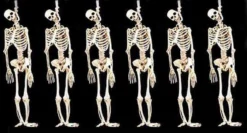 Morris Package Deals "Skeleton Halloween Props" - 6x Package Deal