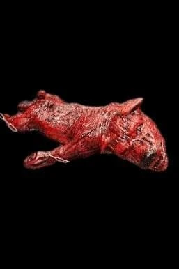 The Horror Dome "Skinned Zombie Dog" Bloody Animal Prop Props 3 The Horror Dome "Skinned Zombie Dog" Bloody Animal Prop Props