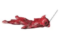 The Horror Dome "Skinned Zombie Dog" Bloody Animal Prop Props