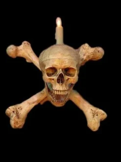 Skeletons And More "Skull/Femur Bone Wall Sconce" Haunted House Lighting Realistic Props