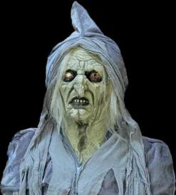 The Horror Dome Costumes "Swamp Hag" HD Studios Costume
