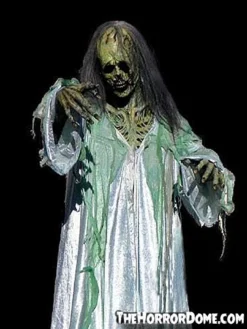 The Horror Dome "Ultimate Spectre" HD Studios Pro Costume Costumes