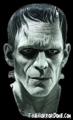 Morris Scary Masks "Universal Studios Frankenstein" Mask