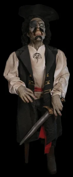 Distortions Props "Walk The Plank Frank" Electric Animated Pirate Halloween Prop