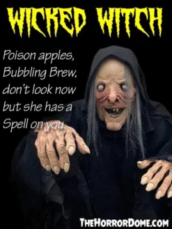 The Horror Dome Costumes