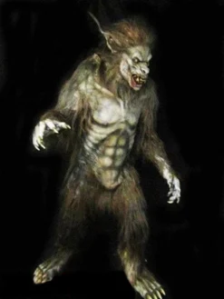 Midnight Studios "Wolf Man" Professional Costume