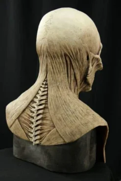 CFX "Yorick The Skull - Tan" Silicone Mask Scary Masks