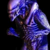 Midnight Studios "Zenomorph" Professional Costume