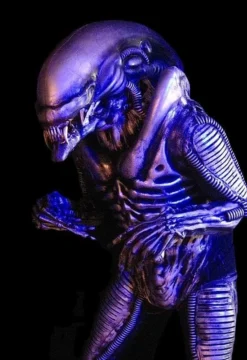 Midnight Studios "Zenomorph" Professional Costume