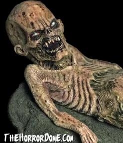 The Horror Dome "Zombie Baby" HD Studios Halloween Puppet Prop 11 The Horror Dome