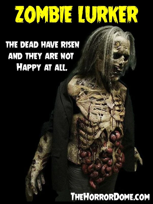 The Horror Dome "Zombies" HD Studios Pro Costumes - 3x Package Deal 5 The Horror Dome "Zombies" HD Studios Pro Costumes - 3x Package Deal