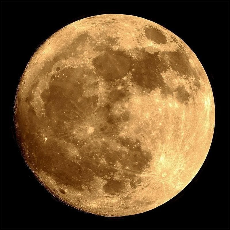 The Horror Dome Sales Shop -The Horror Dome Sales Shop i zombie moon haunted house lighting