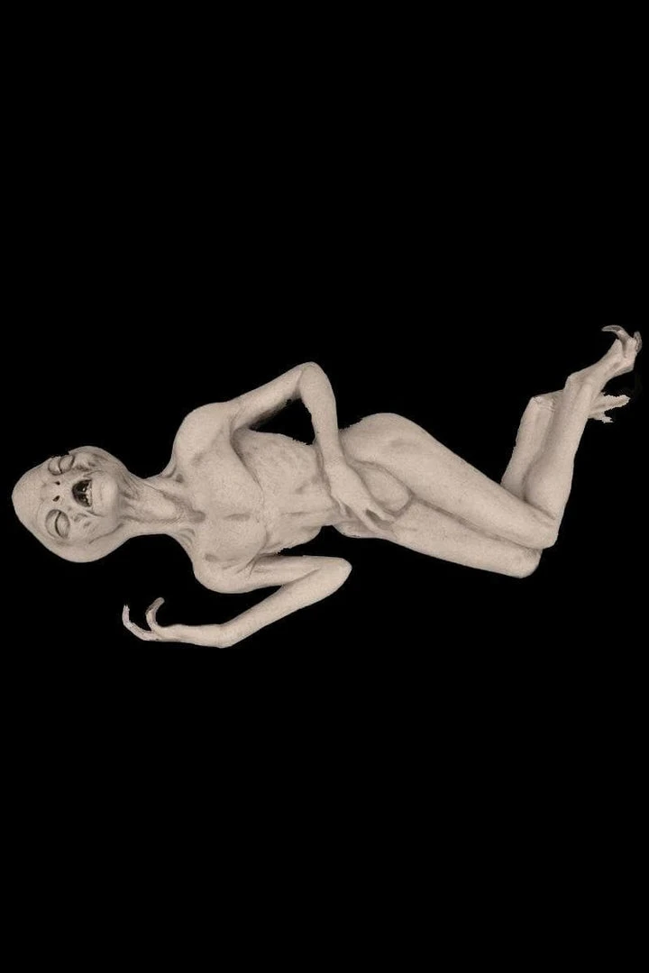 The Horror Dome Sales Shop -The Horror Dome Sales Shop alien death sci fi prop